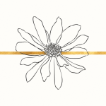 The Meskel Daisy – Modernist Adey Abeba Minimalist Print