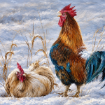 Winter Rooster & Hen